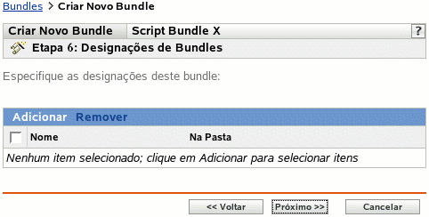 Etapa 6 para criar um novo bundle: Designações de Bundles