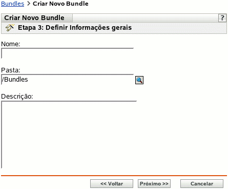 Página da etapa 3 para criar um novo bundle: Definir Informações Gerais (campos Nome, Pasta e Descrição)
