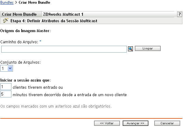 Etapa 4 para criar um novo bundle: Origem da Imagem Master (campos Caminho do Arquivo e Conjunto de Arquivos)