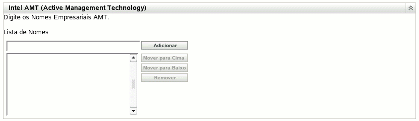 Seção Intel AMT (Active Management Technology)