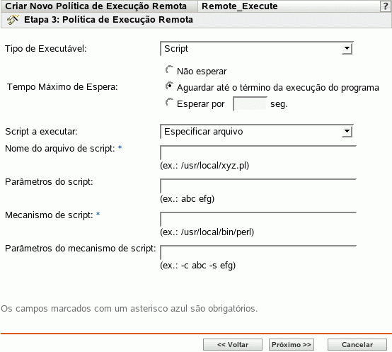 Página Política de Execução Remota