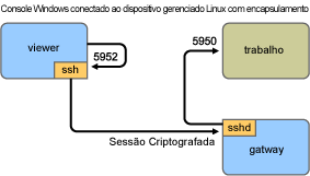 Console Windows conectado ao dispositivo gerenciado Linux com encapsulamento