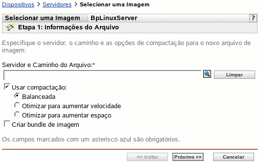 Página da etapa 1 para criar um novo bundle: Informações do Arquivo (campos Servidor e Caminho do Arquivo, Usar Compactação e Criar Bundle de Imagem)