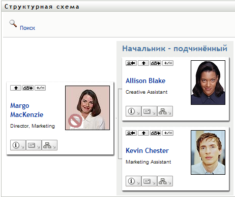 Портлет на странице "Структурная схема"