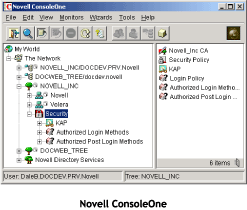ConsoleOne management screen