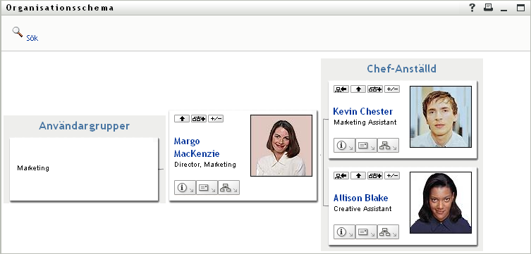 Cecilia expanderar både Chef-anställd- och Användargrupp-vyerna.