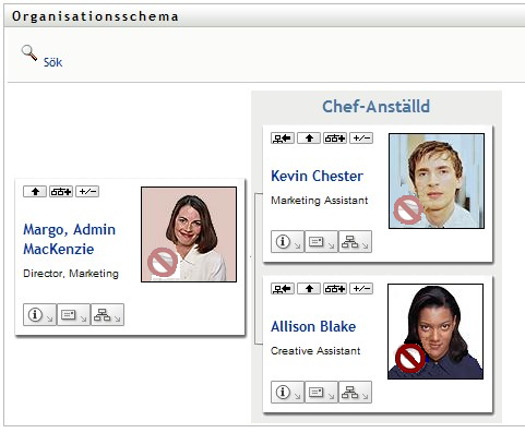 Portleten på sidan Organisationsschema