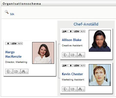 En användares standardorganisationsschema vid inloggning