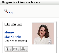 Knappen Expandera/komprimera den aktuella relationen växlar mellan vyerna. Detta är ett exempel på den komprimerade vyn.
