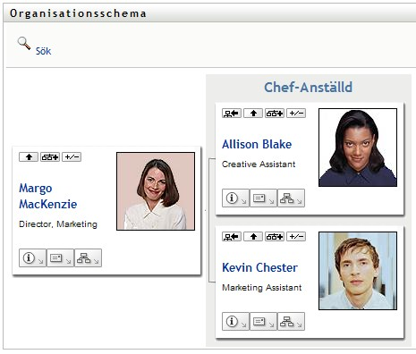 Knappen Expandera/komprimera den aktuella relationen växlar mellan vyerna. Detta är ett exempel på den expanderade vyn.