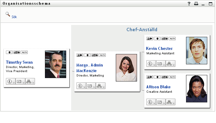 I användarens organisationsschema visas en ledningsnivå över användaren