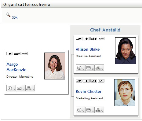 En vy av ett organisationsschema