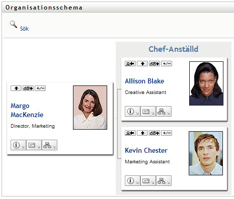 Användaren gjorde sitt kort till rot, så hennes kort är nu toppnivån i vyn