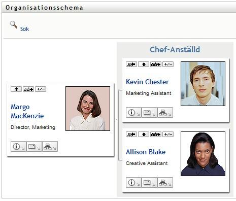 En användares standardorganisationsschema vid inloggning