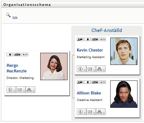 Knappen Expandera/komprimera den aktuella relationen växlar mellan vyerna. Detta är ett exempel på den expanderade vyn.