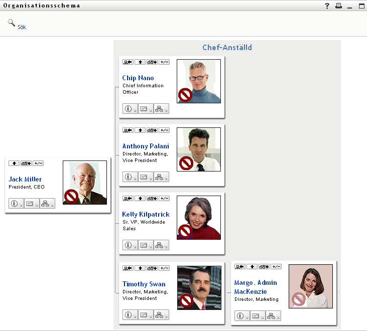 I användarens organisationsschema visas två ledningsnivåer över användaren