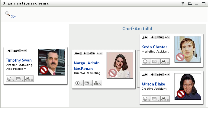 I användarens organisationsschema visas en ledningsnivå över användaren