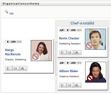 En vy av ett organisationsschema