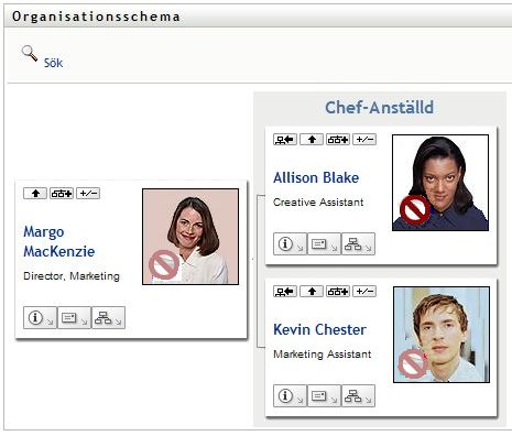 Användaren gjorde sitt kort till rot, så hennes kort är nu toppnivån i hennes vy