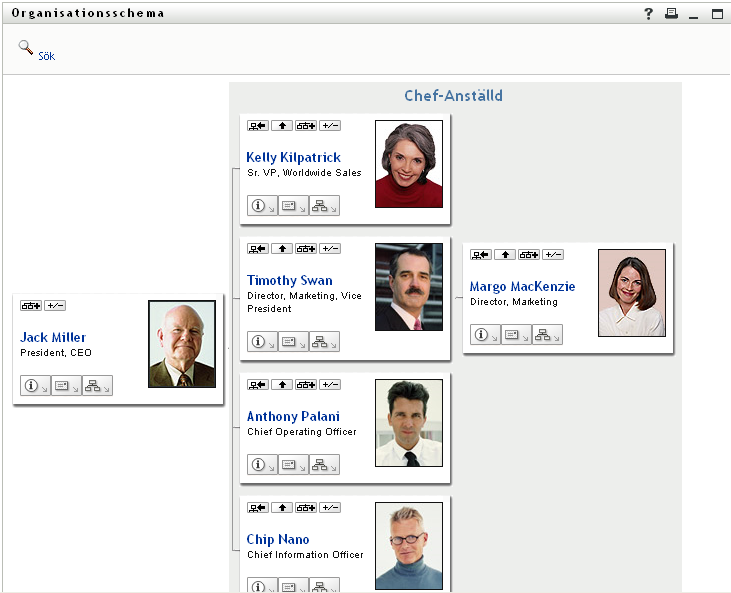 I användarens organisationsschema visas två ledningsnivåer över användaren