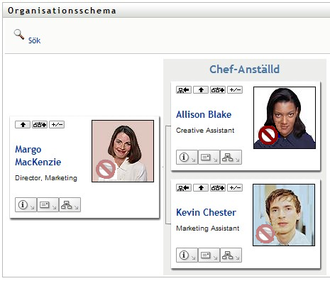 En vy av ett organisationsschema