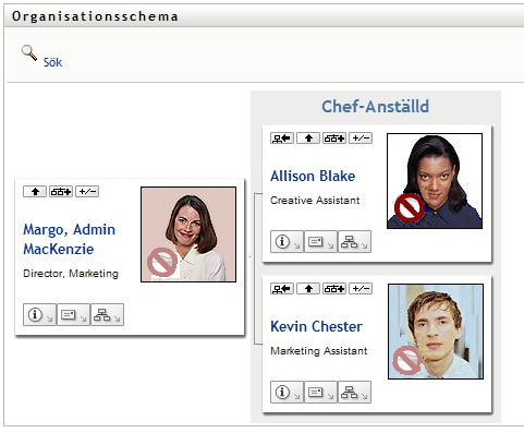 Portleten på sidan Organisationsschema