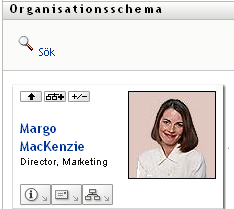 Med hjälp av knappen med uppåtpilen kan en användare visa upp till två nivåer uppåt