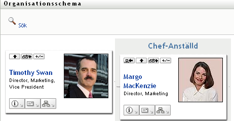 Användarens vy inkluderar en nivå ovanför henne