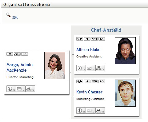 Portleten på sidan Organisationsschema