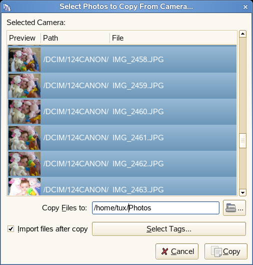 F-Spot-import från en kamera