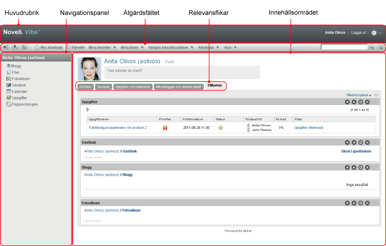 Gränssnittet för Vibe