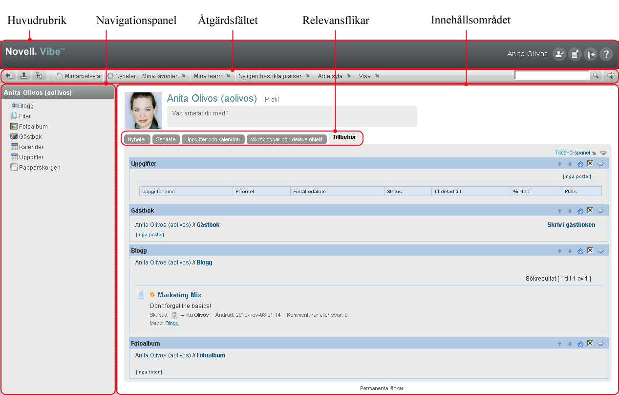 Gränssnittet för Vibe