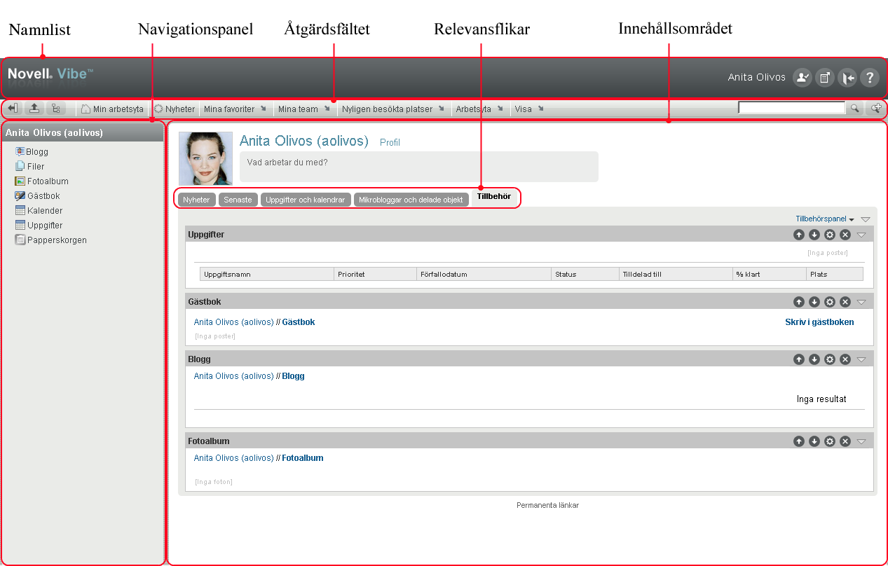 Gränssnittet för Vibe