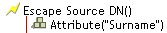 转义源 DN