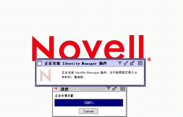 Netware 服务器上的安装过程