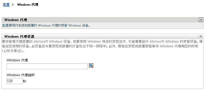 Windows 代理设置页
