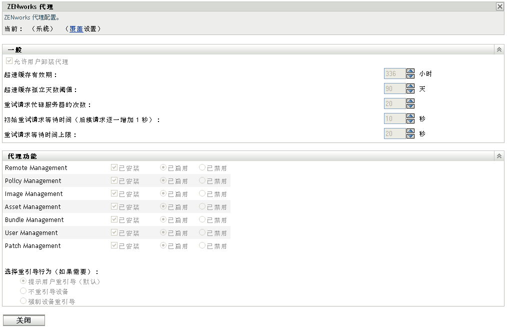 ZENworks 代理页 > 代理功能面板