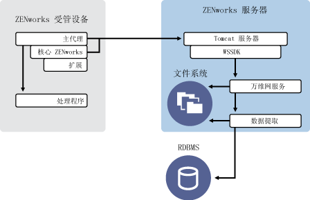ZENworks 11 客户端-服务器体系结构