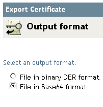 指定輸出格式的選項圓鈕