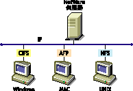 Novell ���a�ɮצs����w