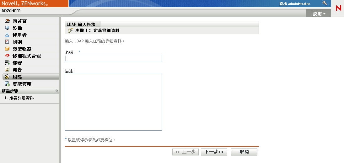 LDAP 輸入任務精靈 > 定義詳細資料頁