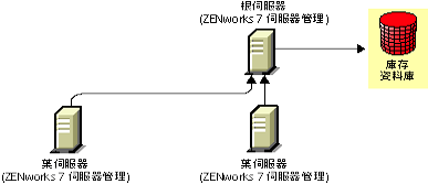 ZENworks 7 伺服器管理葉伺服器將上捲至 ZENworks 7 伺服器管理根伺服器。