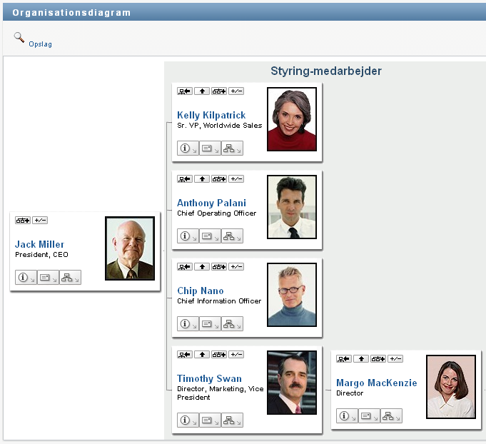 Brugerens organisationsdiagram viser to ledelsesniveauer over brugeren