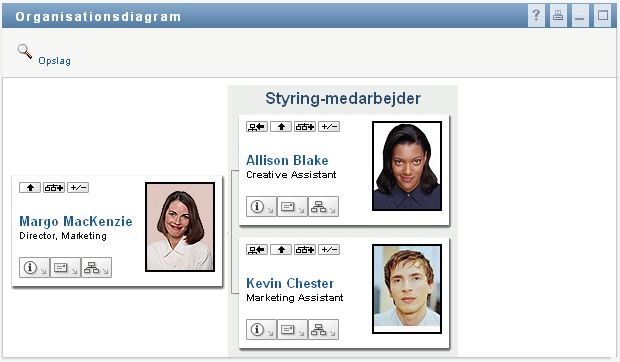 En brugers standardorganisationsdiagram ved logon