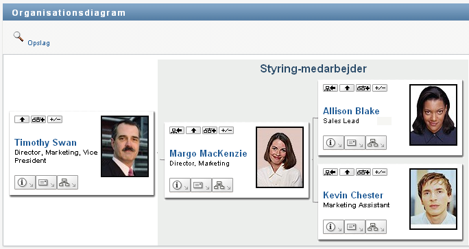 Brugerens organisationsdiagram viser et ledelsesniveau over brugeren
