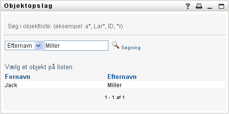 Opslag beder dig om søgekriterier