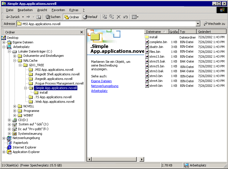 NAL-Cache-Verzeichnis auf einem lokalen Laufwerk