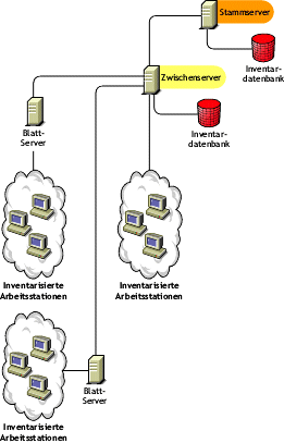 Der Stammserver auf der obersten Ebene, ein Zwischenserver mit Datenbank auf der niedrigeren Ebene (verkn�pft mit dem Stammserver) und ein Blattserver (verkn�pft mit dem Zwischenserver mit Datenbank).
