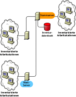 Der Stammserver auf der h�chsten Ebene mit verkn�pften inventarisierten Arbeitsstationen. Au�erdem sind mehrere Blattserver mit diesem Stammserver mit inventarisierten Arbeitsstationen verkn�pft.