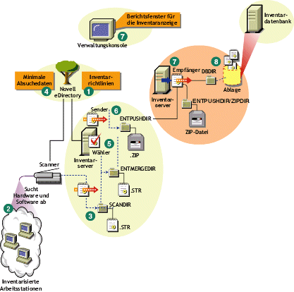 Inventarabsuchezyklus im Roll-up-Szenario, bestehend aus Arbeitsstationen mit installiertem Novell Client.